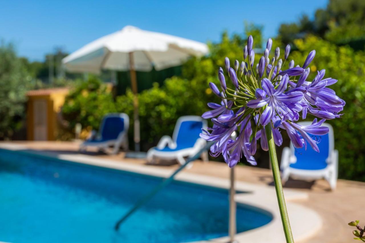 S'Oratge Villa Can Picafort  Luaran gambar